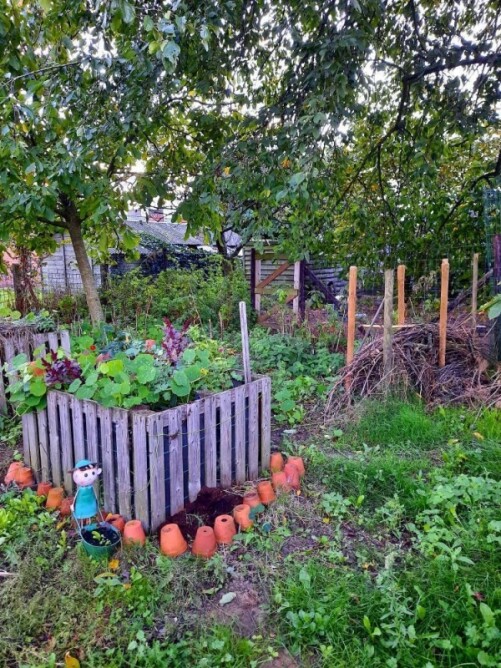 Moestuinbak maken waar kun je uit kiezen?