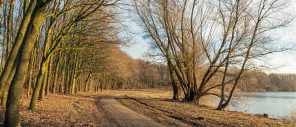 Wandelen in Brabant: 14 Prachtige Wandelroutes