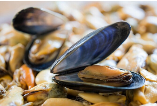 Mosselen Eten in Zeeland: 11 Restaurants Waar Je Moet Zijn