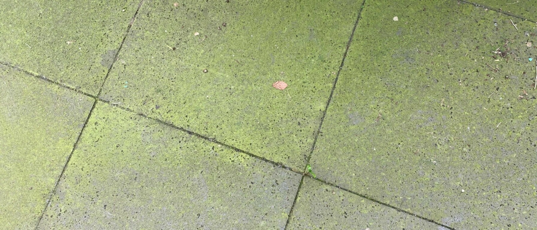 Terras schoonmaken met azijn in 4 stappen