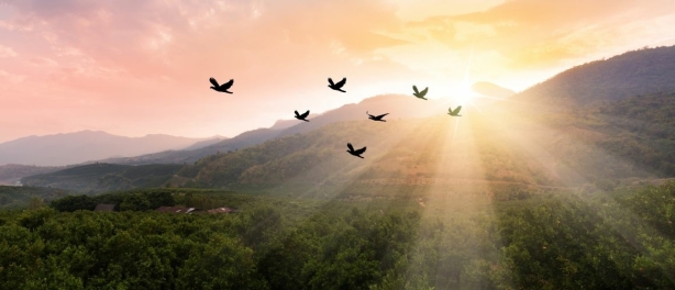 Altitude Changes Everything!