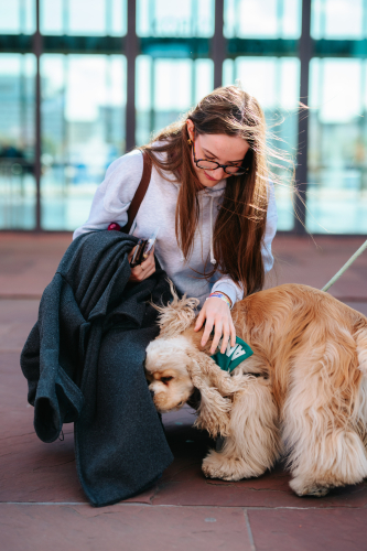 Knuffelen met hond op teambuilding