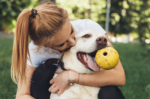 Hondenoppas en hond spelen met bal