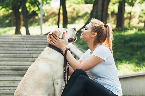 Hondenoppas en hond samen in park in Antwerpen
