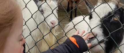 De zoektocht naar rolstoelgeschikte wandelpaden