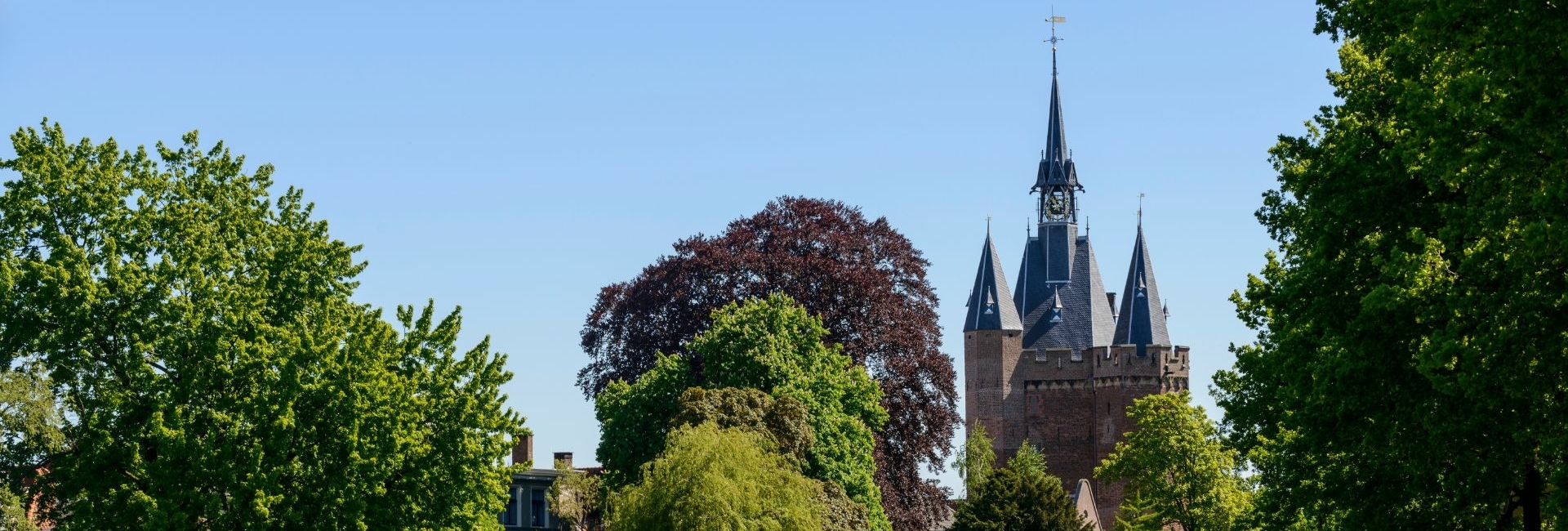AAN Makelaars | Voor jouw volgende stap Sassenpoort als historisch stadsbeeld