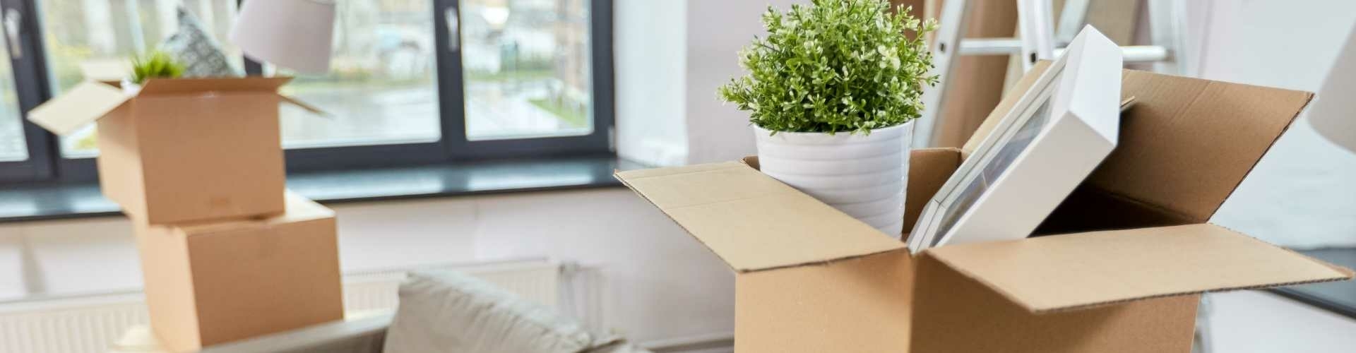 Complete verhuisplanner en checklist voor een zorgeloze verhuizing in Zwolle