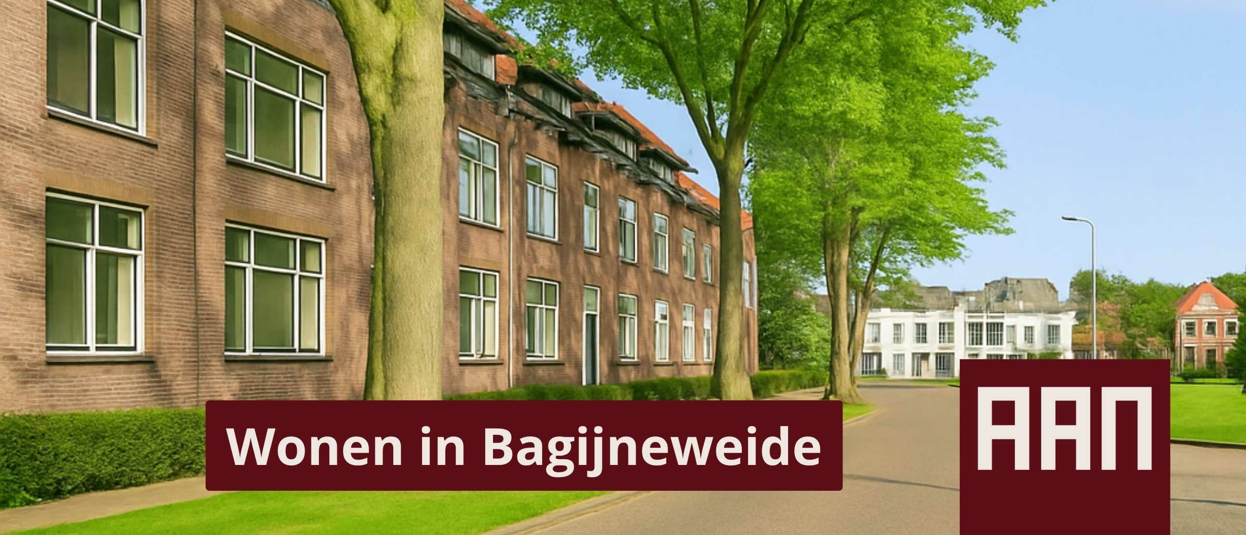 Wonen in Bagijneweide - de historische buurt aan de rand van Zwolle's binnenstad | AAN Makelaars Wonen in Bagijneweide - de historische buurt aan de rand van Zwolle's binnenstad | AAN Makelaars