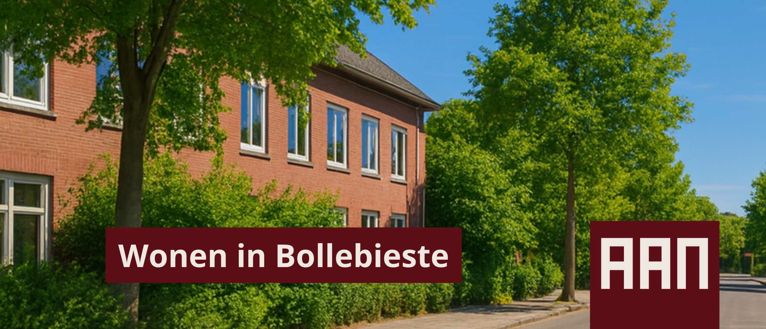 Wonen in Bollebieste - de historische bomenbuurt van Zwolle | AAN Makelaars Wonen in Bollebieste - de historische bomenbuurt van Zwolle | AAN Makelaars