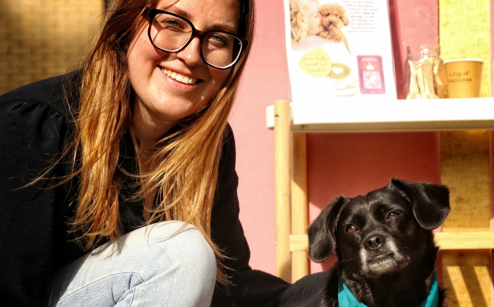 therapiehond
