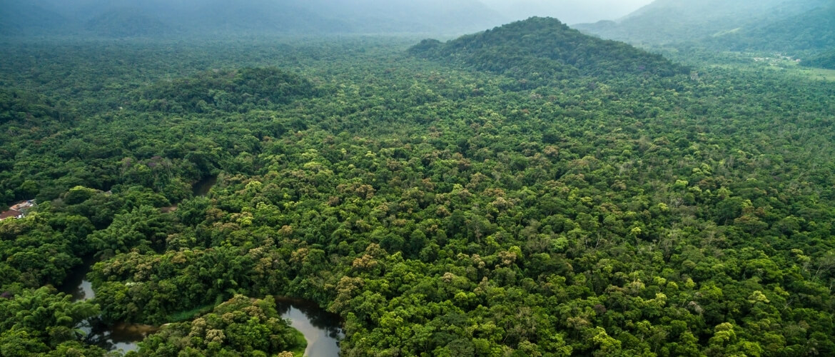 Waarom is het Amazonegebied belangrijk op aarde?