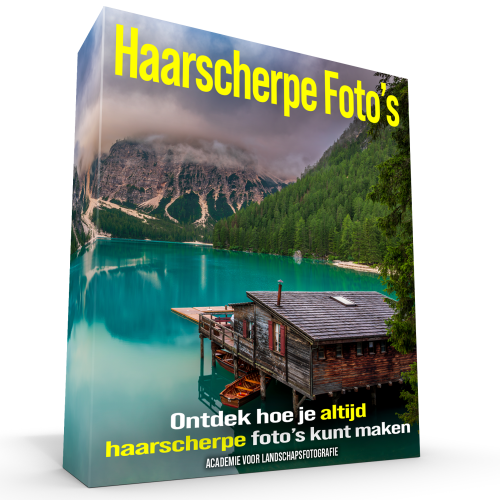 Curcus haarscherpe foto's van de Academie voor Landschapsfotografie