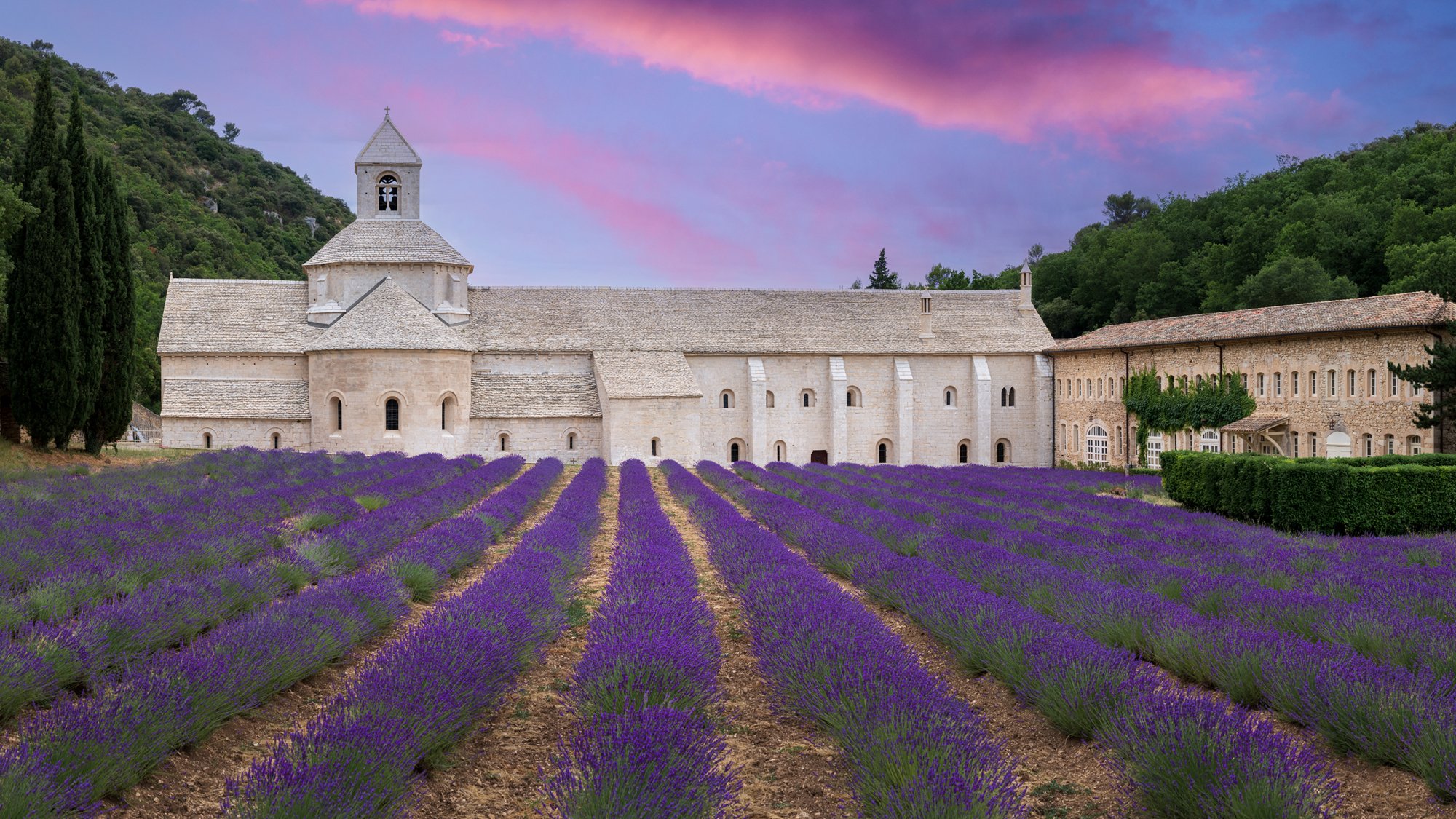 Notre Dame de Sénanque, abdij met lavendel in Gordes, Frankrijk