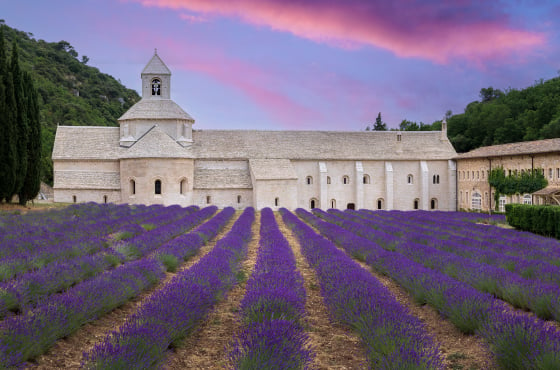 Notre Dame de Sénanque, abdij met lavendel in Gordes, Frankrijk