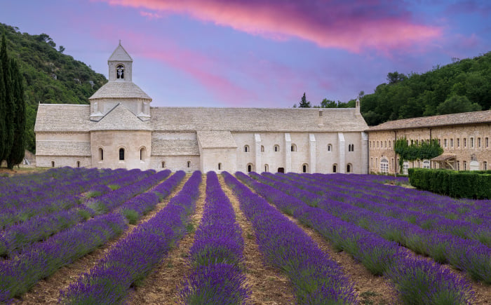 Notre Dame de Sénanque, abdij met lavendel in Gordes, Frankrijk