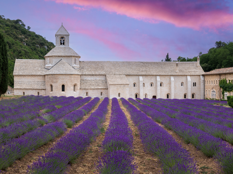 Notre Dame de Sénanque, abdij met lavendel in Gordes, Frankrijk