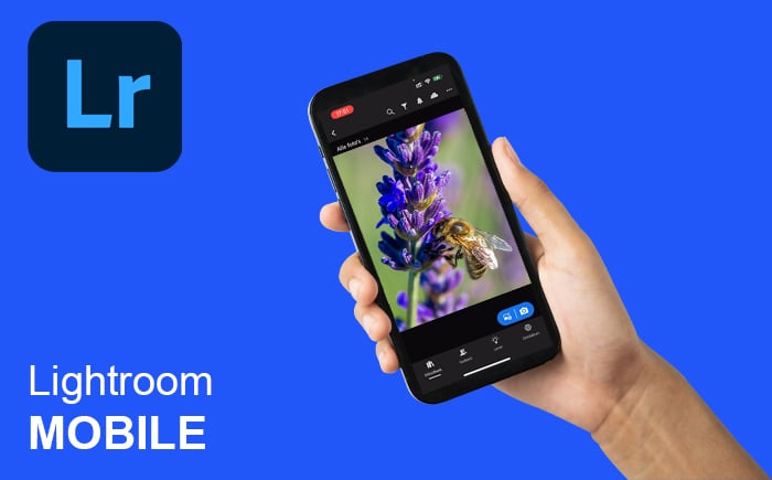 Telefoon met Lightroom Mobile in de hand