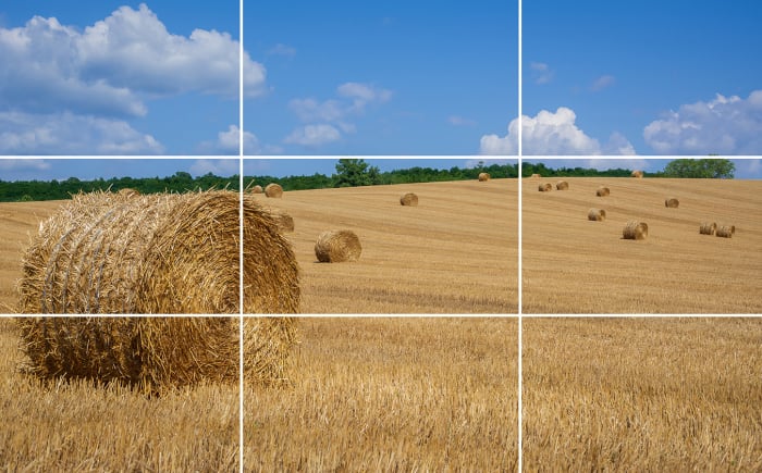 De regel van derden zorgt bij de fotografie voor een sterke compositie