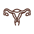 Icoon van een vrouwelijk voortplantingssysteem, representatief voor de focus op gynaecologie en fertiliteit in acupunctuur.
