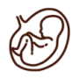 Icoon van een foetus representeert acupunctuur en moxa voor het draaien van een baby in stuitligging