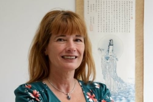 Acupuncturiste-Josien-de-Groot Acupuncturiste-Josien-de-Groot