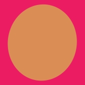 uniek traject akasha met marije