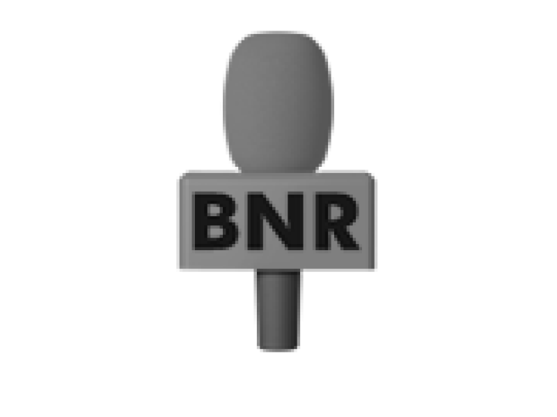 BNR - Albert in de media