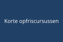 Opfriscursus grammatica