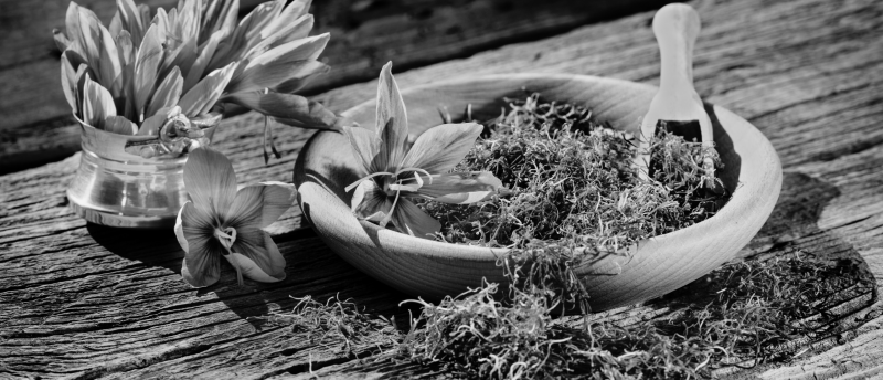 Bloemen en rituelen