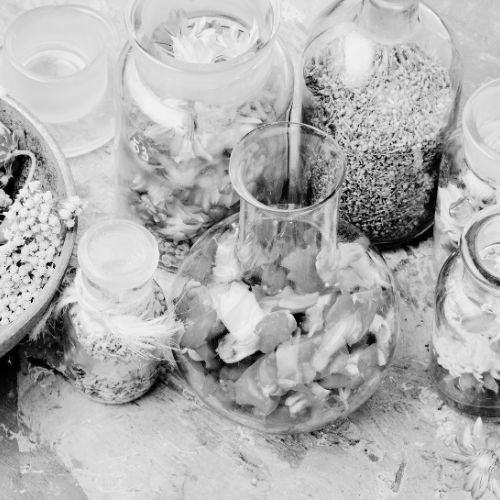 Glazen potten met verschillende bloemen en planten