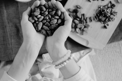 Handen vrouw, cacao bonen