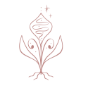 Illustratie Instituut voor Moderne Medicijnvrouwen