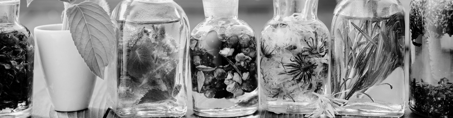 Verschillende glazen flesjes met planten in vloeistof