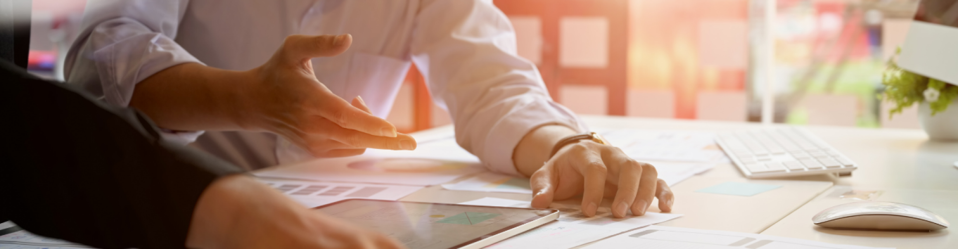 ondernemingsplan-voorbeel-ondernemingsplan-laten-maken-zeeland-am4projects