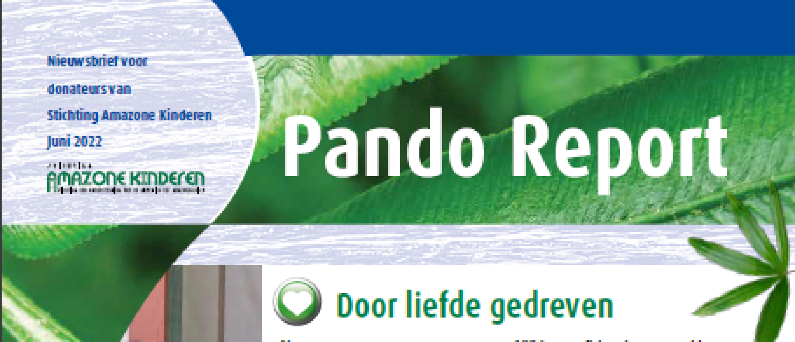 Pando report juni 2022
