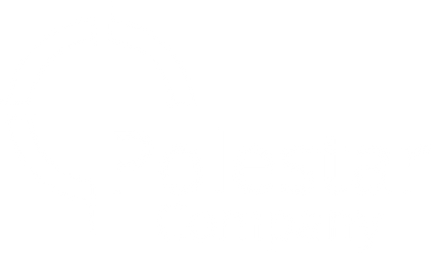 Associate partner Polestar company