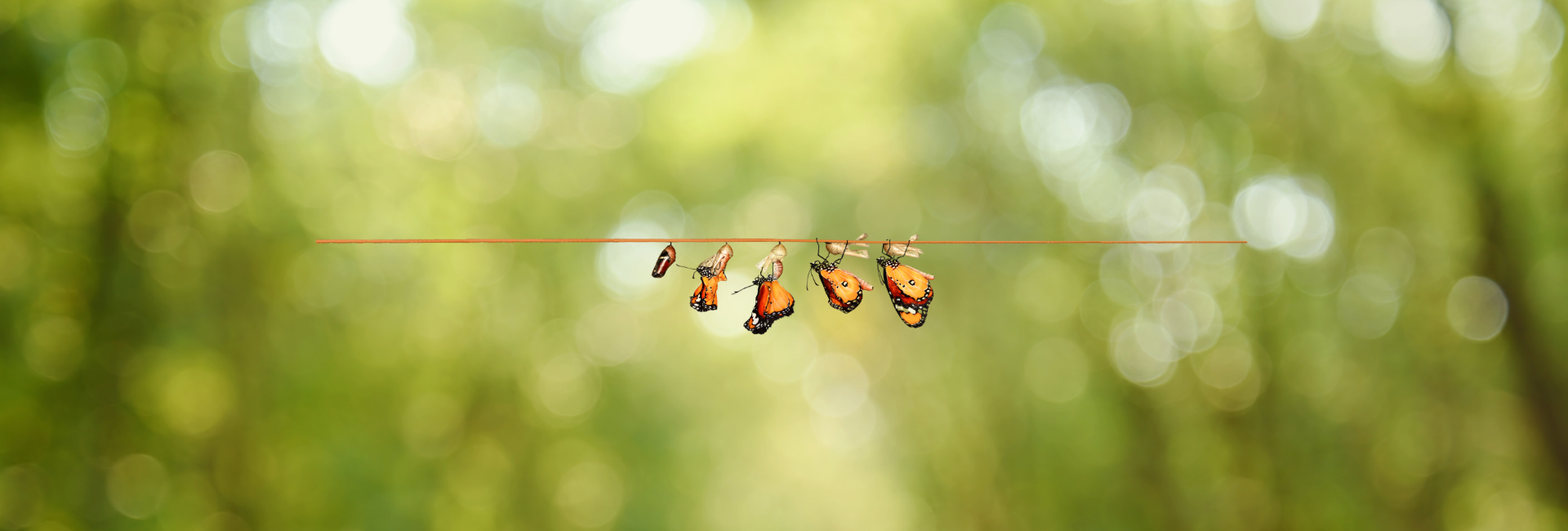 ambassadeurs. van aandacht