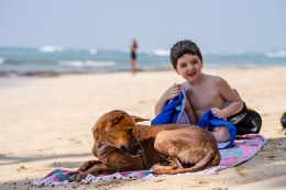 ameland-hotels-hotel-met-hond-strand