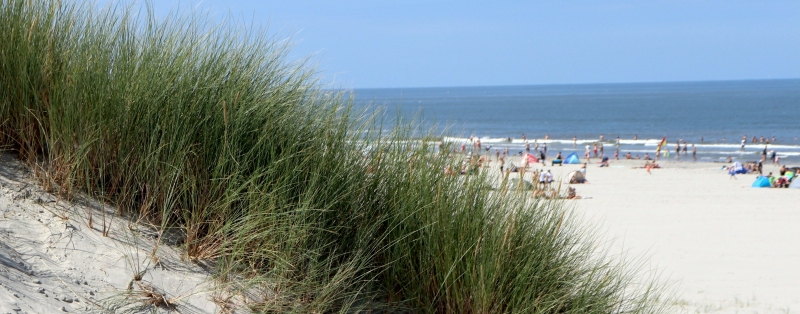 ameland-strand-duinen ameland-strand-duinen
