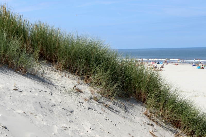 ameland-strand-duinen
