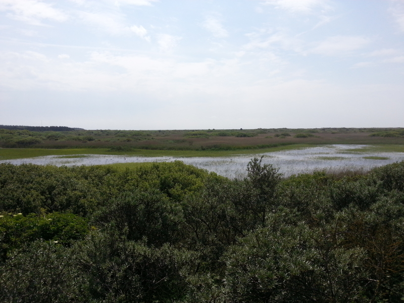 ameland-vakanties-het-oerd-uitzicht