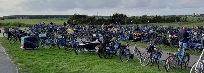 fietskar-voor-hond-op-ameland