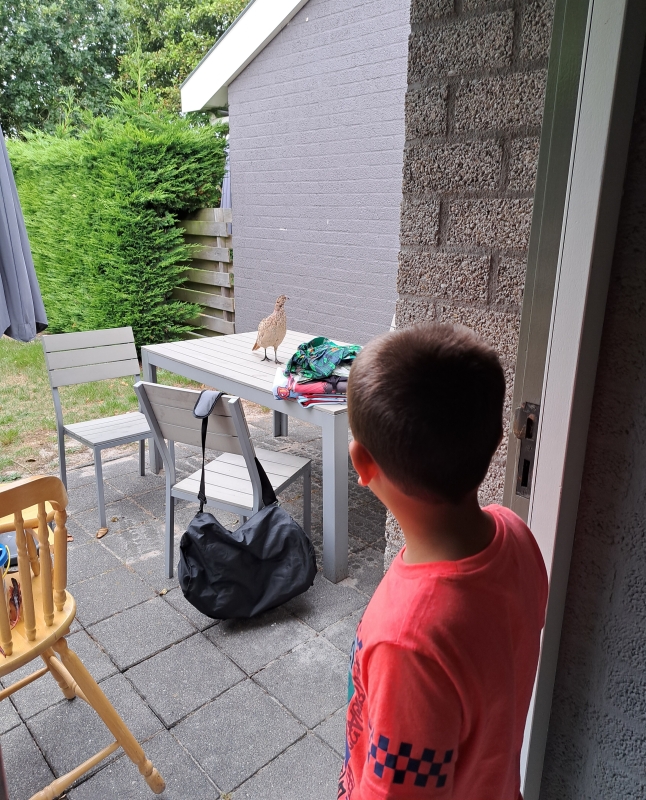 klein-vaarwater-huisje