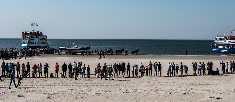 paardenreddingboot-ameland-bezoekers