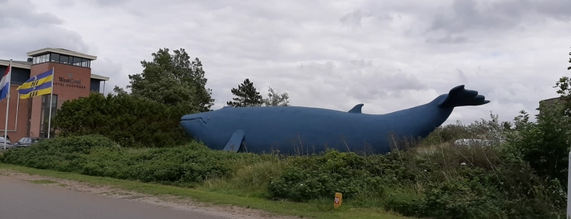 regen-op-ameland-natuurmuseum-nes