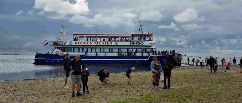 robbentochten-de-zeehond-1