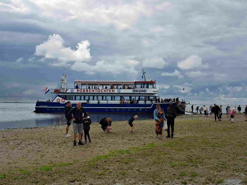 robbentochten-de-zeehond-1 robbentochten-de-zeehond-1
