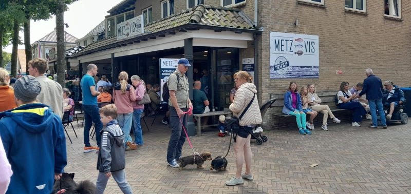 vakantie-op-ameland-met-je-hond-in-nes vakantie-op-ameland-met-je-hond-in-nes