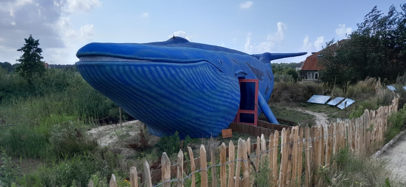walvis-blotevoetenpad-ameland-nieuwe-situatie