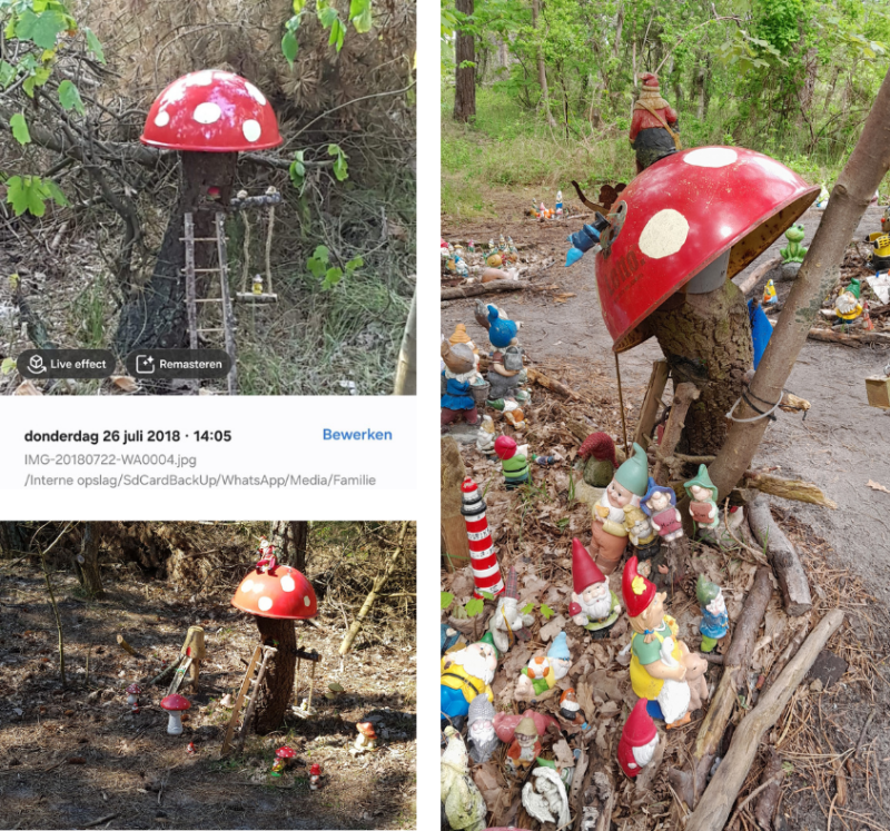 kabouterbos